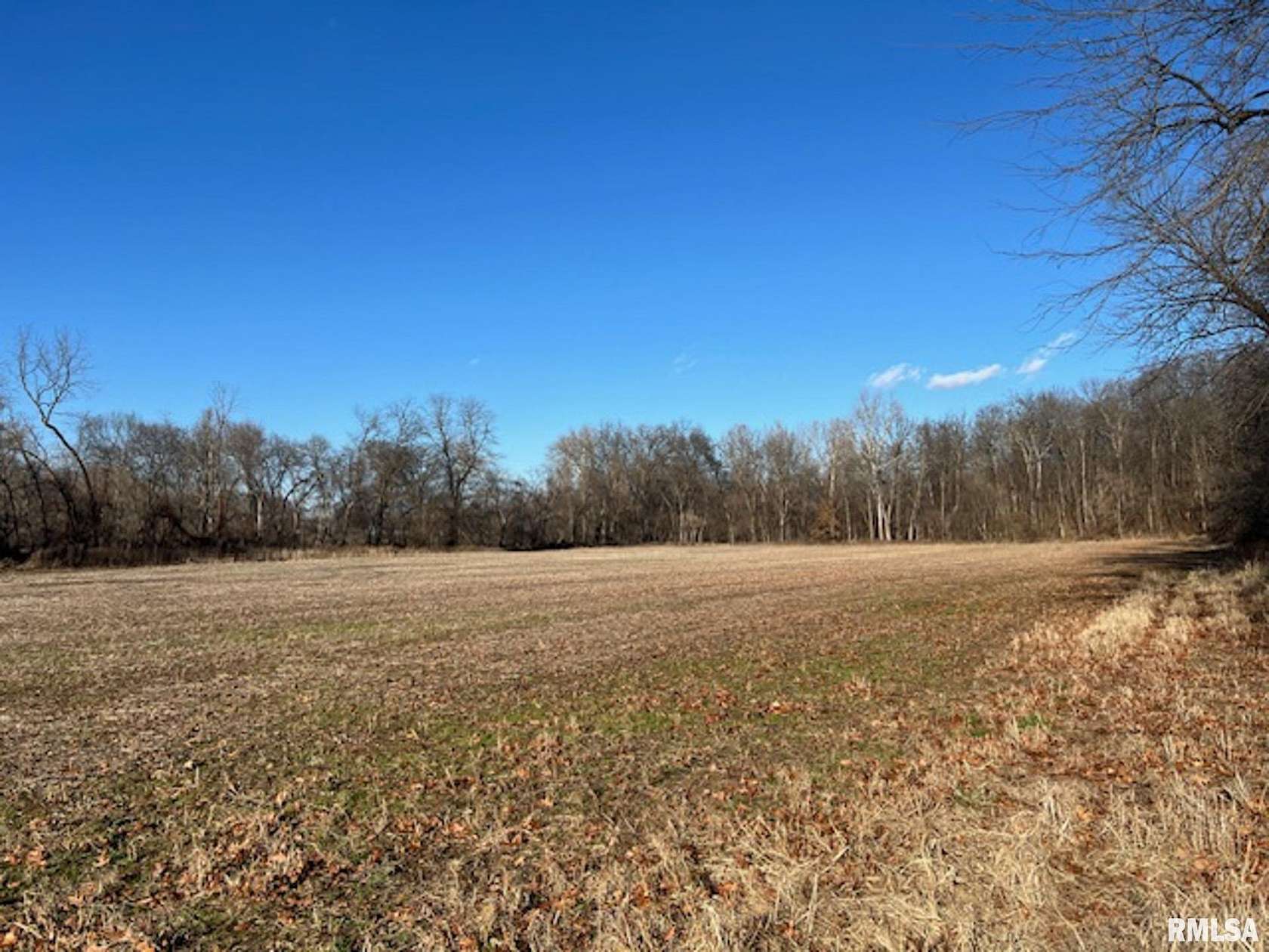 70 Acres of Recreational Land & Farm for Sale in Pleasant Hill, Illinois