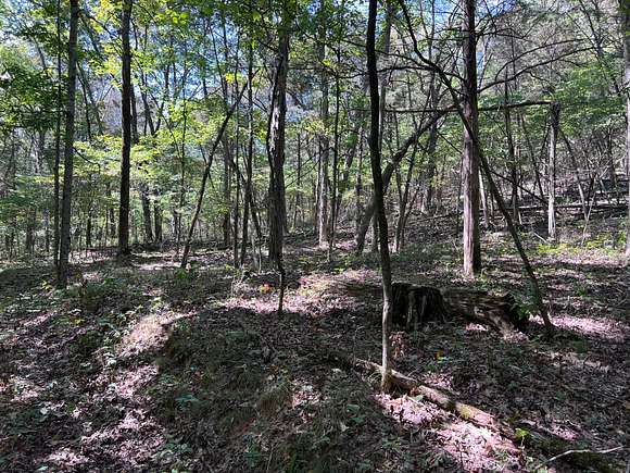 50 Acres of Recreational Land for Sale in Munfordville, Kentucky