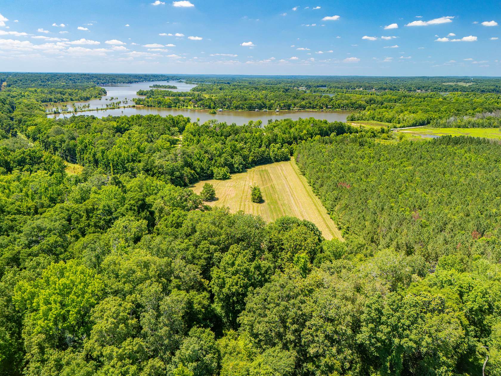 1,656 Acres of Agricultural Land for Sale in Camden, Alabama