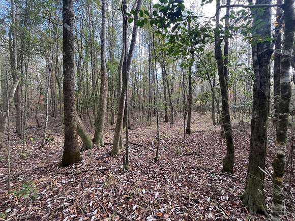 10.5 Acres of Recreational Land for Sale in Greenville, Alabama