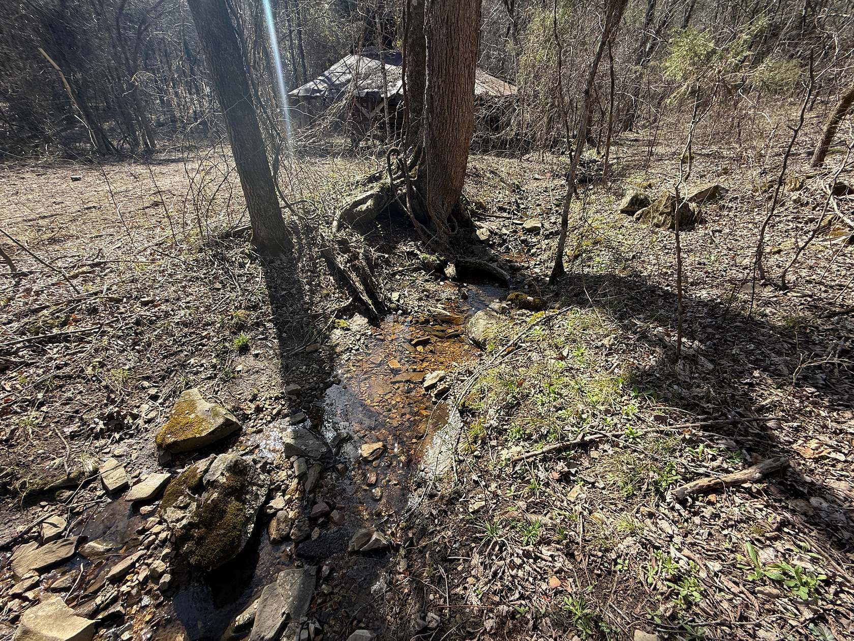 15.5 Acres of Recreational Land & Farm for Sale in Mountain View, Arkansas