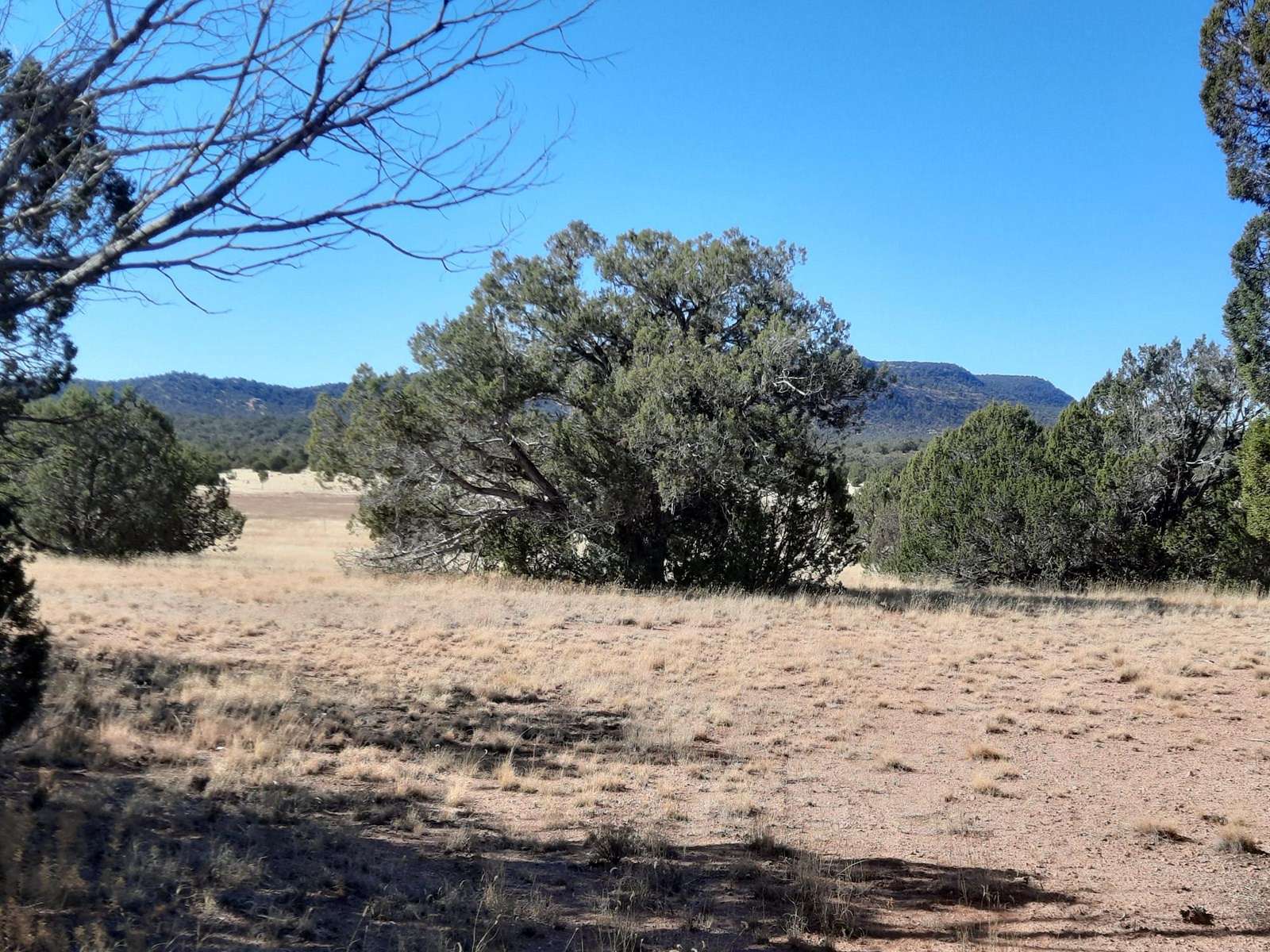 1.1 Acres of Land for Sale in Seligman, Arizona