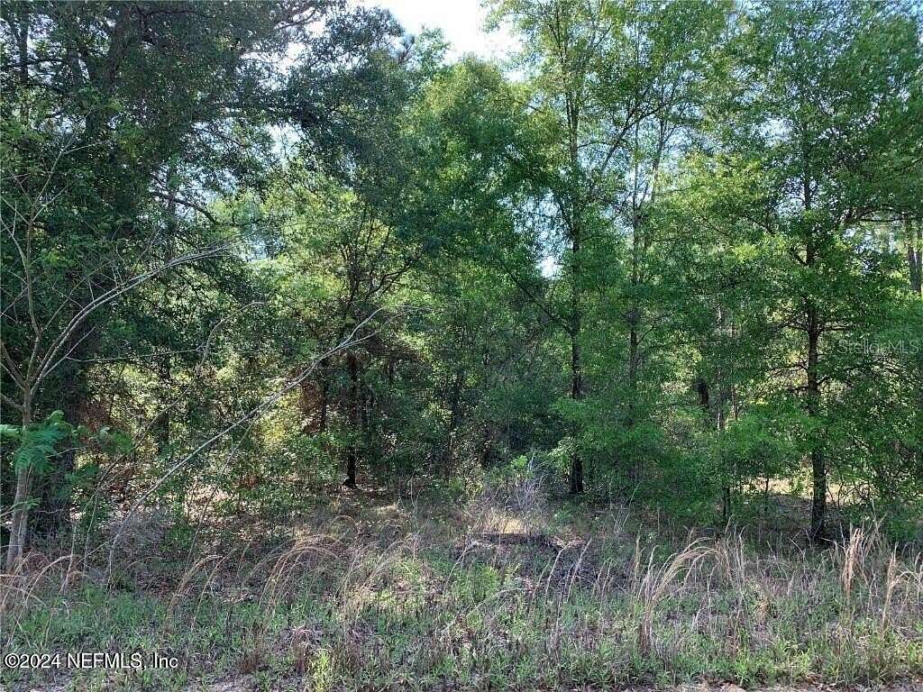 2 Acres of Land for Sale in Williston, Florida