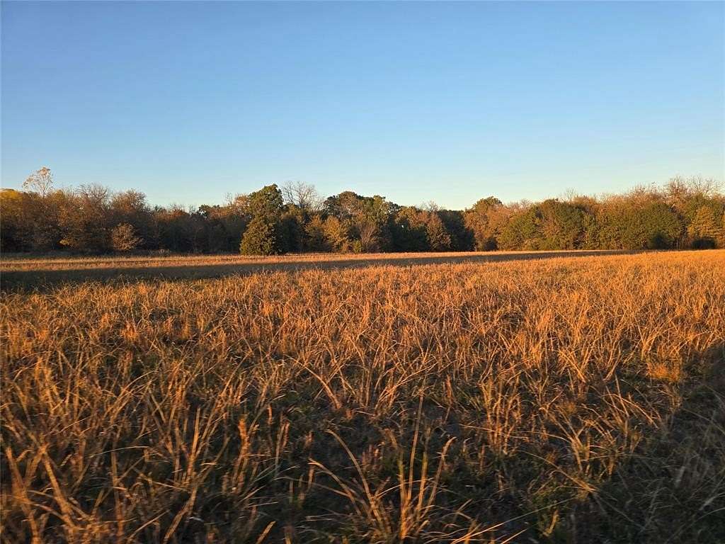 22 Acres of Agricultural Land for Sale in Farmersville, Texas