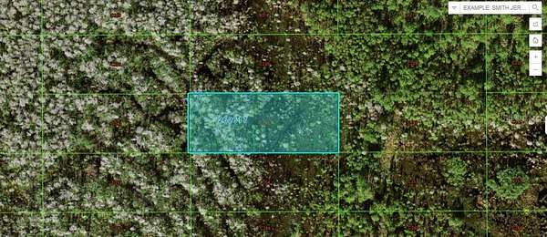 1 Acre of Land for Sale in Polk City, Florida