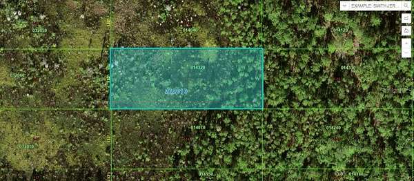 1 Acre of Land for Sale in Polk City, Florida