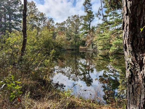 13.35 Acres of Recreational Land for Sale in Picayune, Mississippi