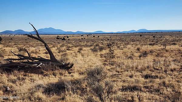 1.18 Acres of Land for Sale in Williams, Arizona