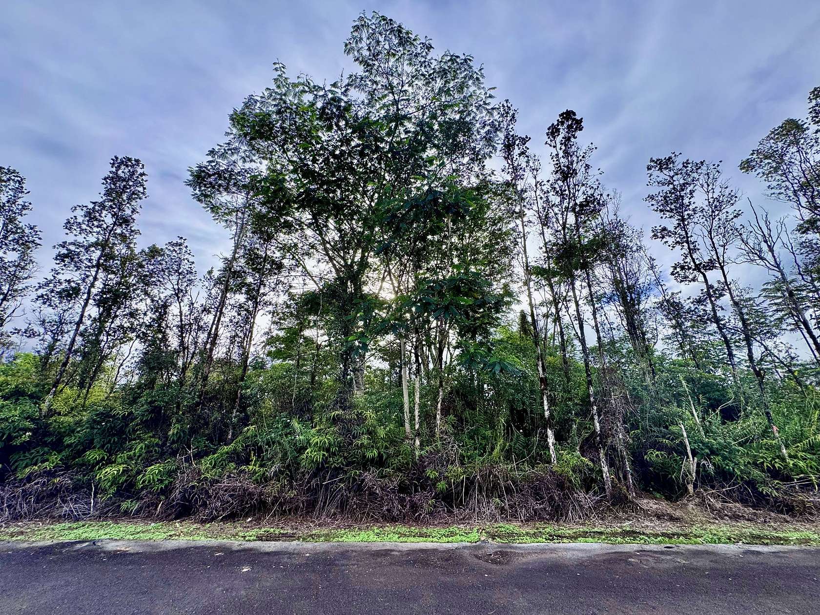 0.186 Acres of Land for Sale in Kurtistown, Hawaii