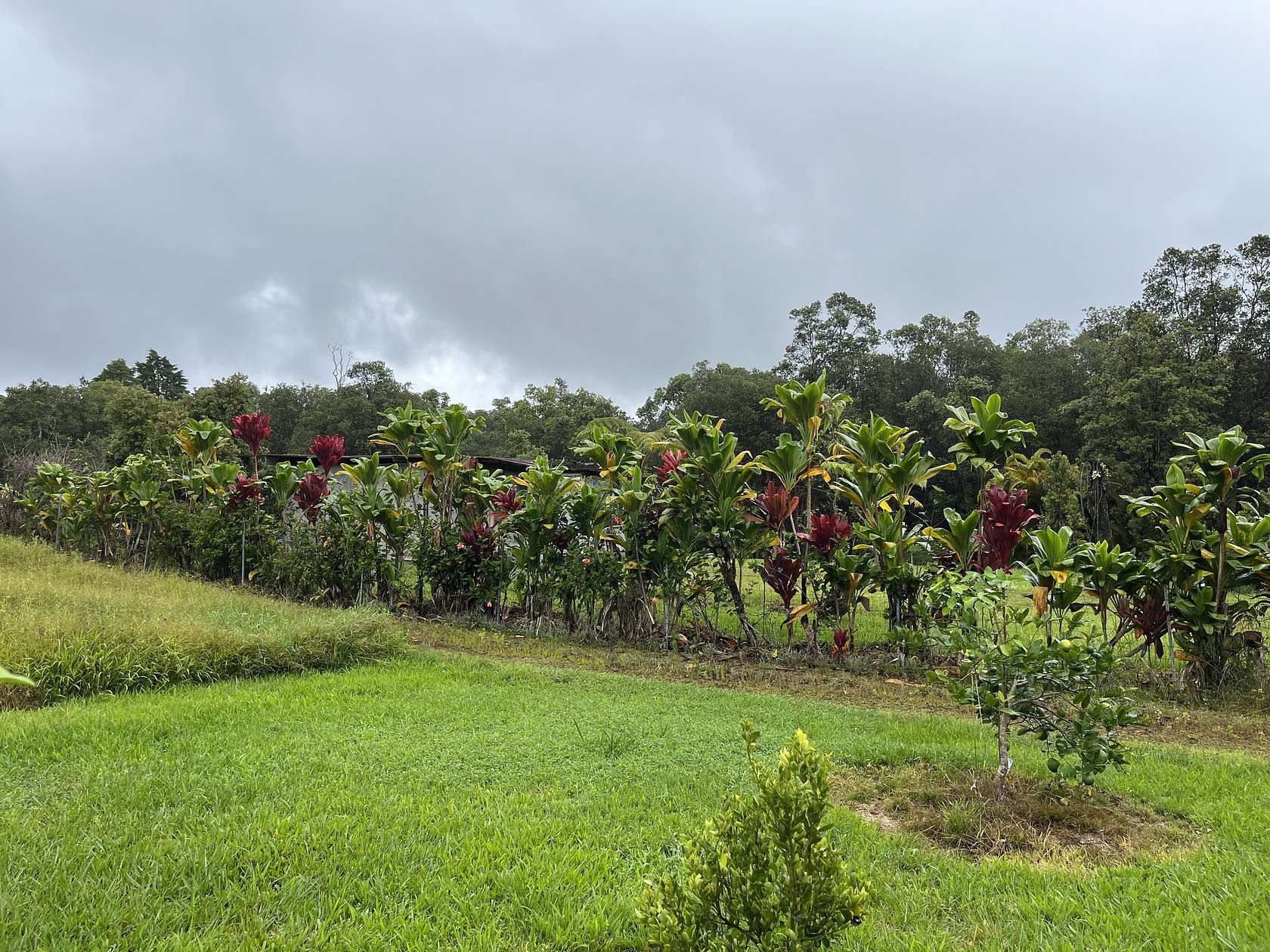 0.276 Acres of Land for Sale in Mountain View, Hawaii