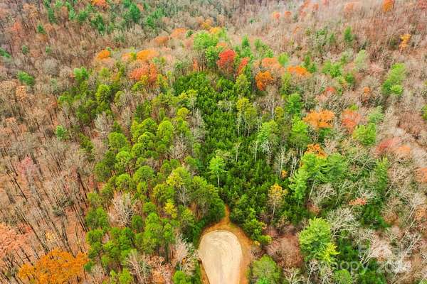 10 Acres of Land for Sale in McGrady, North Carolina