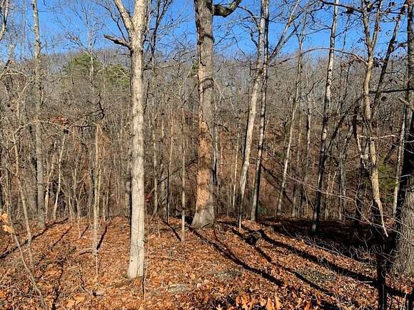 0.21 Acres of Residential Land for Sale in Bella Vista, Arkansas