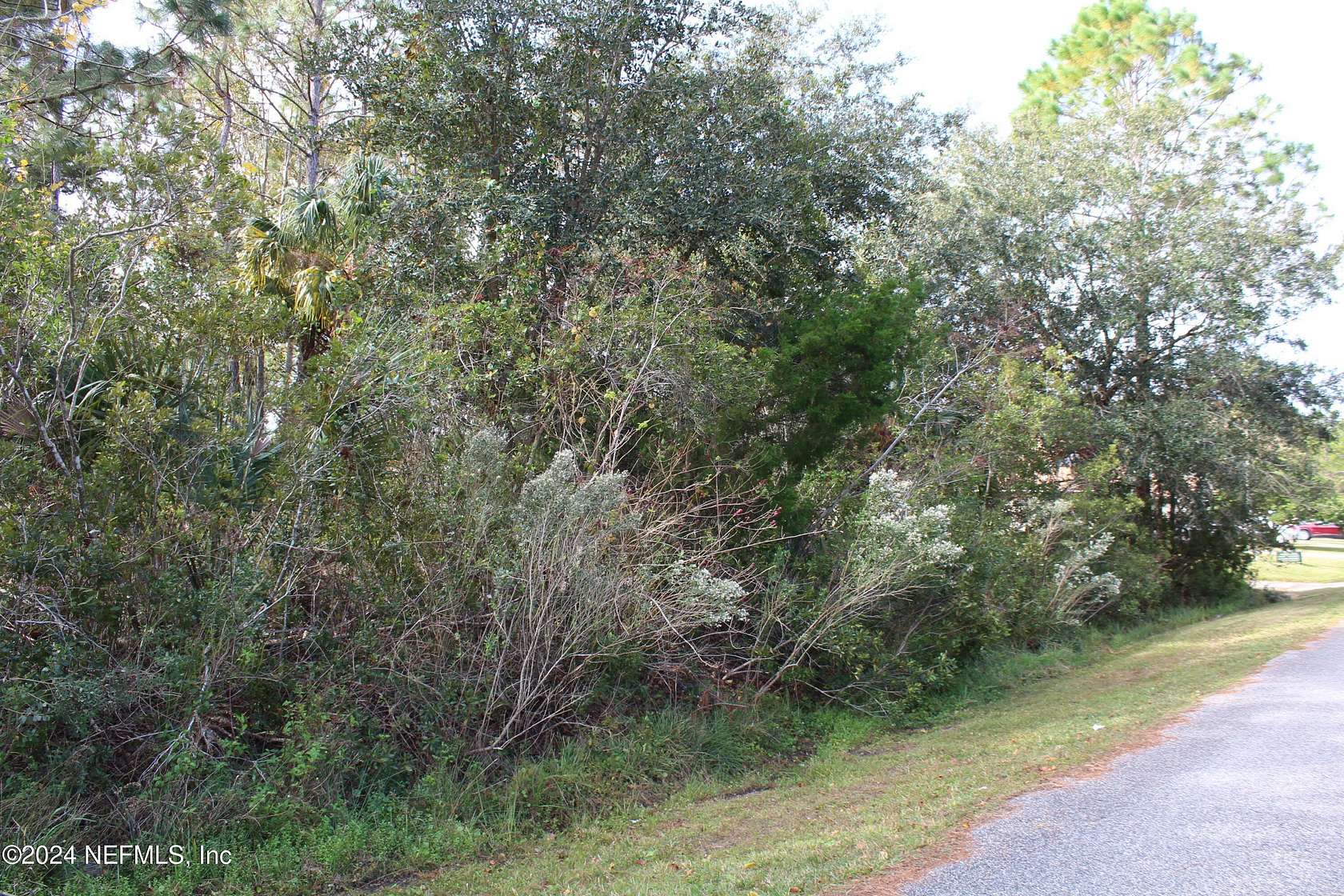 0.29 Acres of Residential Land for Sale in Palm Coast, Florida