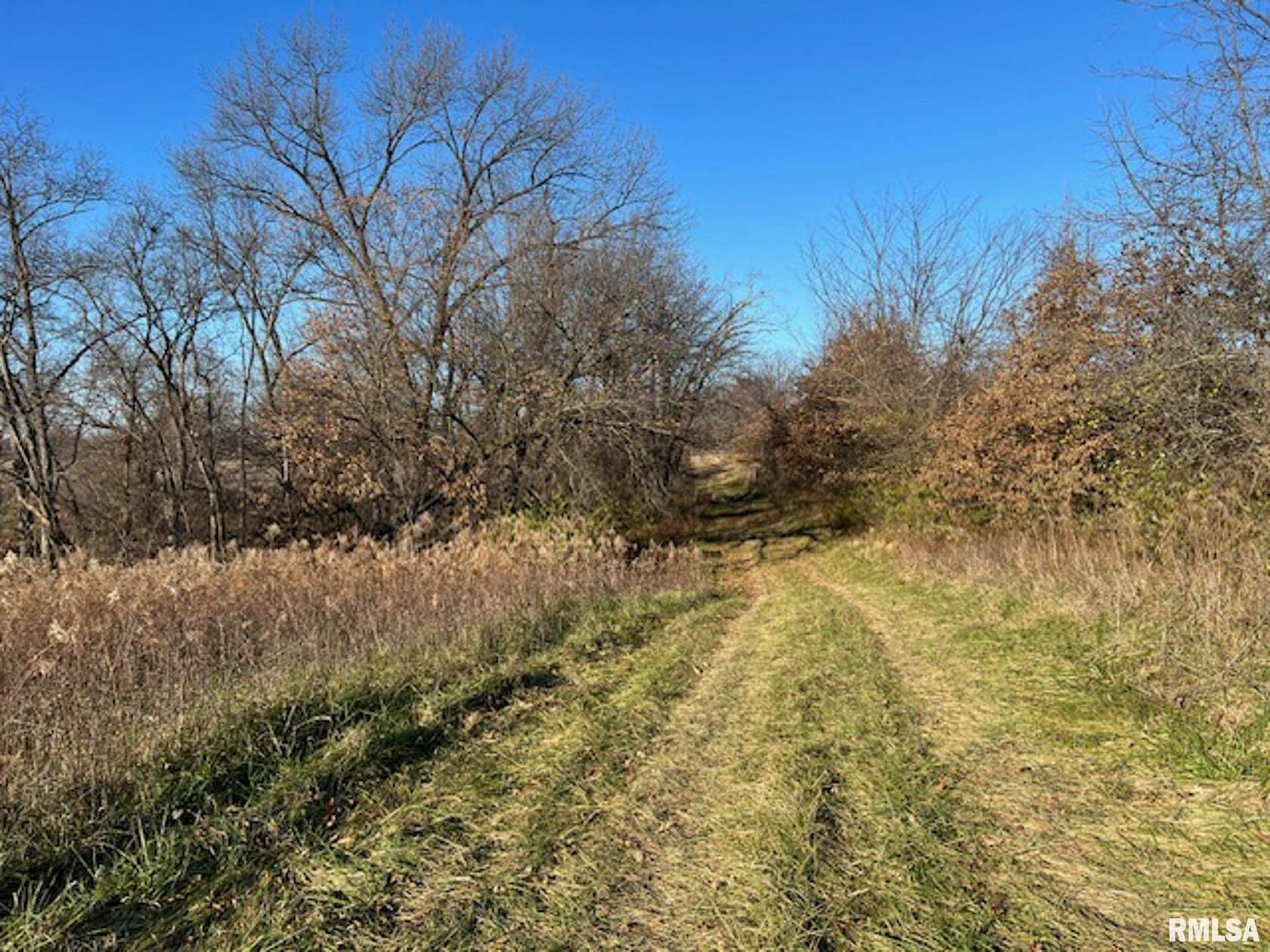 14 Acres of Land for Sale in Pleasant Hill, Illinois