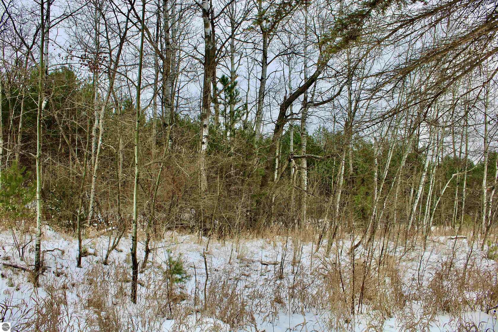 10 Acres of Land for Sale in Manton, Michigan