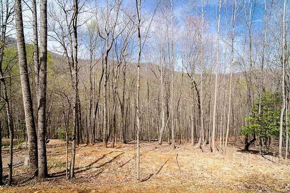 0.94 Acres of Residential Land for Sale in Arden, North Carolina