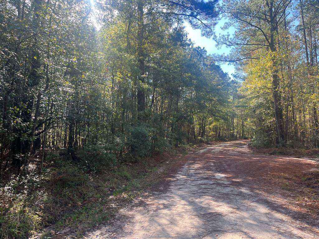 0.6 Acres of Residential Land for Sale in Hampton, South Carolina