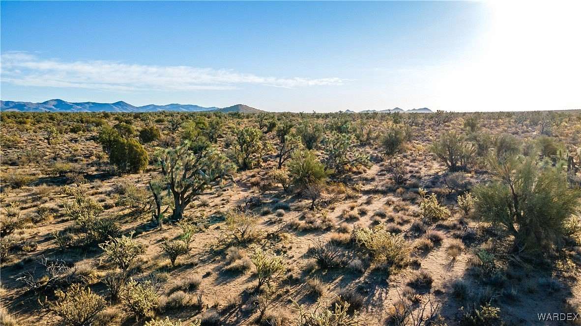 39.89 Acres of Agricultural Land for Sale in Yucca, Arizona