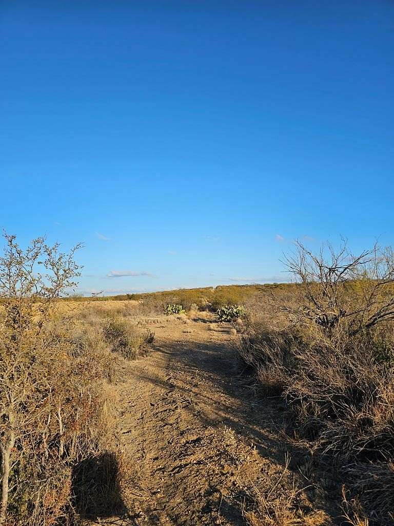 21.135 Acres of Agricultural Land for Sale in Eagle Pass, Texas