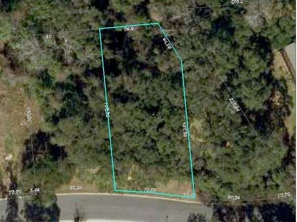 0.31 Acres of Residential Land for Sale in Tallahassee, Florida