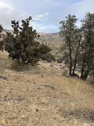 9.78 Acres of Residential Land for Sale in Dayton, Nevada