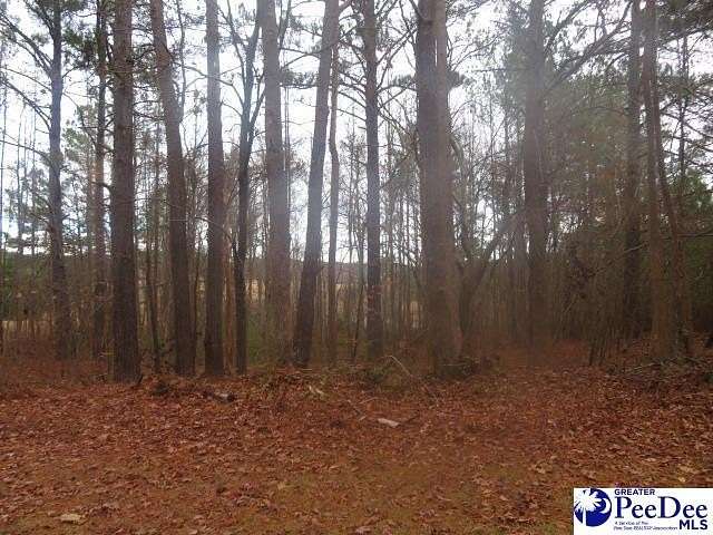 0.74 Acres of Residential Land for Sale in Hartsville, South Carolina