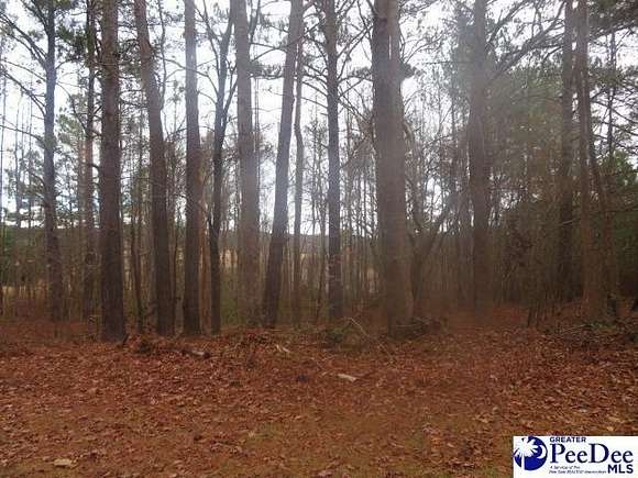 0.74 Acres of Residential Land for Sale in Hartsville, South Carolina