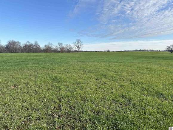 267 Acres of Land for Sale in Almo, Kentucky