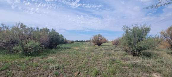 121.3 Acres of Recreational Land & Farm for Sale in Las Animas, Colorado