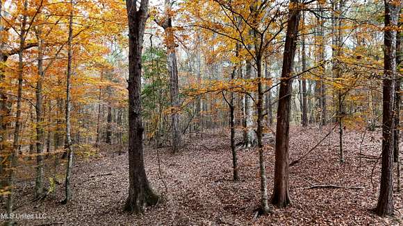 26 Acres of Recreational Land for Sale in Florence, Mississippi