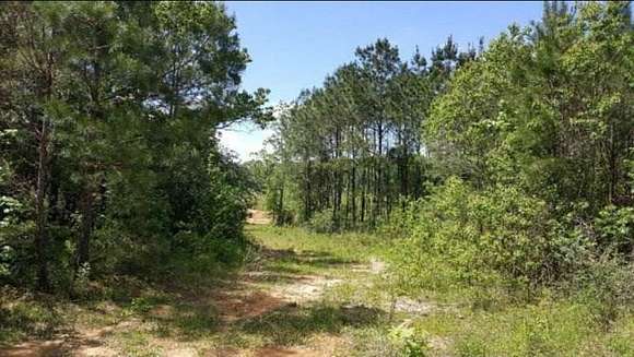 27.37 Acres of Land for Sale in Brookhaven, Mississippi