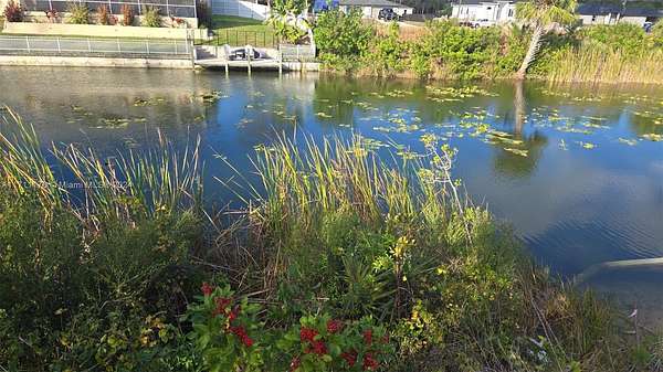 0.23 Acres of Residential Land for Sale in Cape Coral, Florida