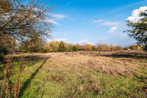 25.2 Acres of Agricultural Land for Sale in Ivanhoe, Texas