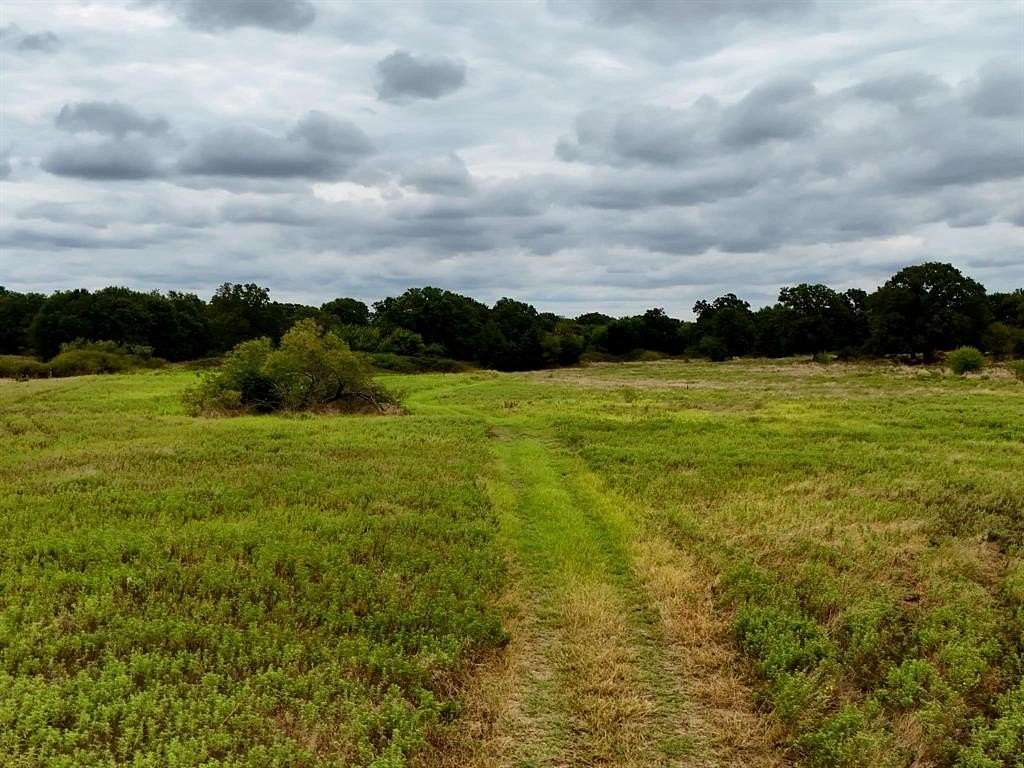 20 Acres of Agricultural Land for Sale in Bowie, Texas