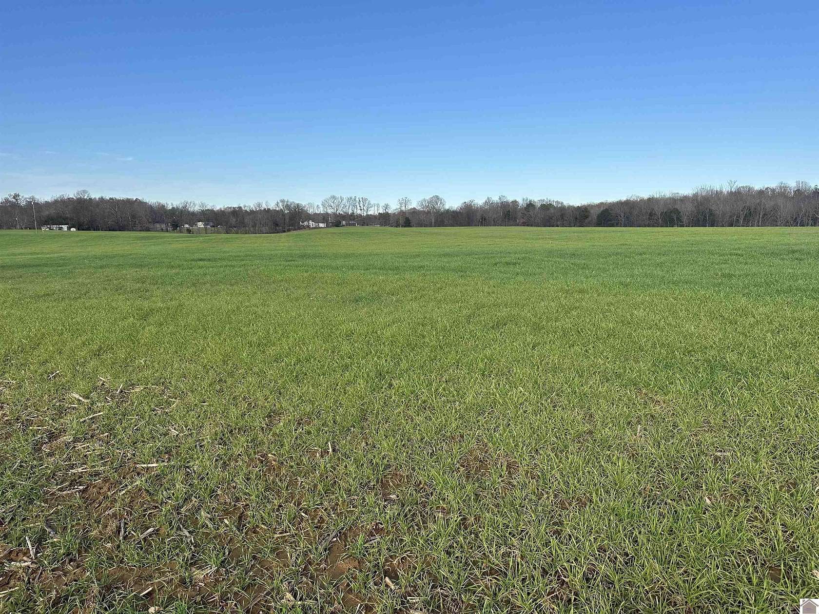 16.51 Acres of Land for Sale in Almo, Kentucky