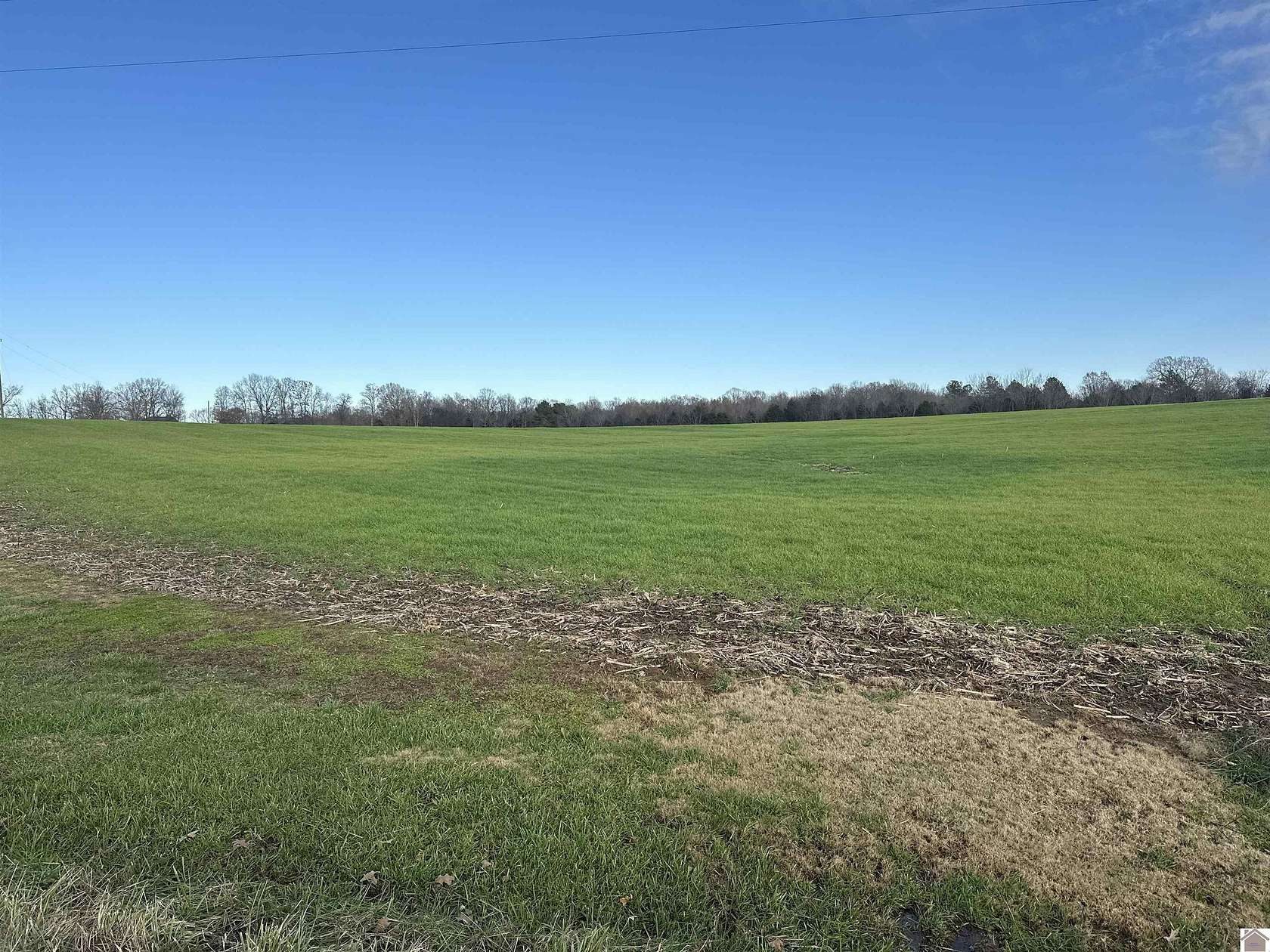 69 Acres of Agricultural Land for Sale in Almo, Kentucky