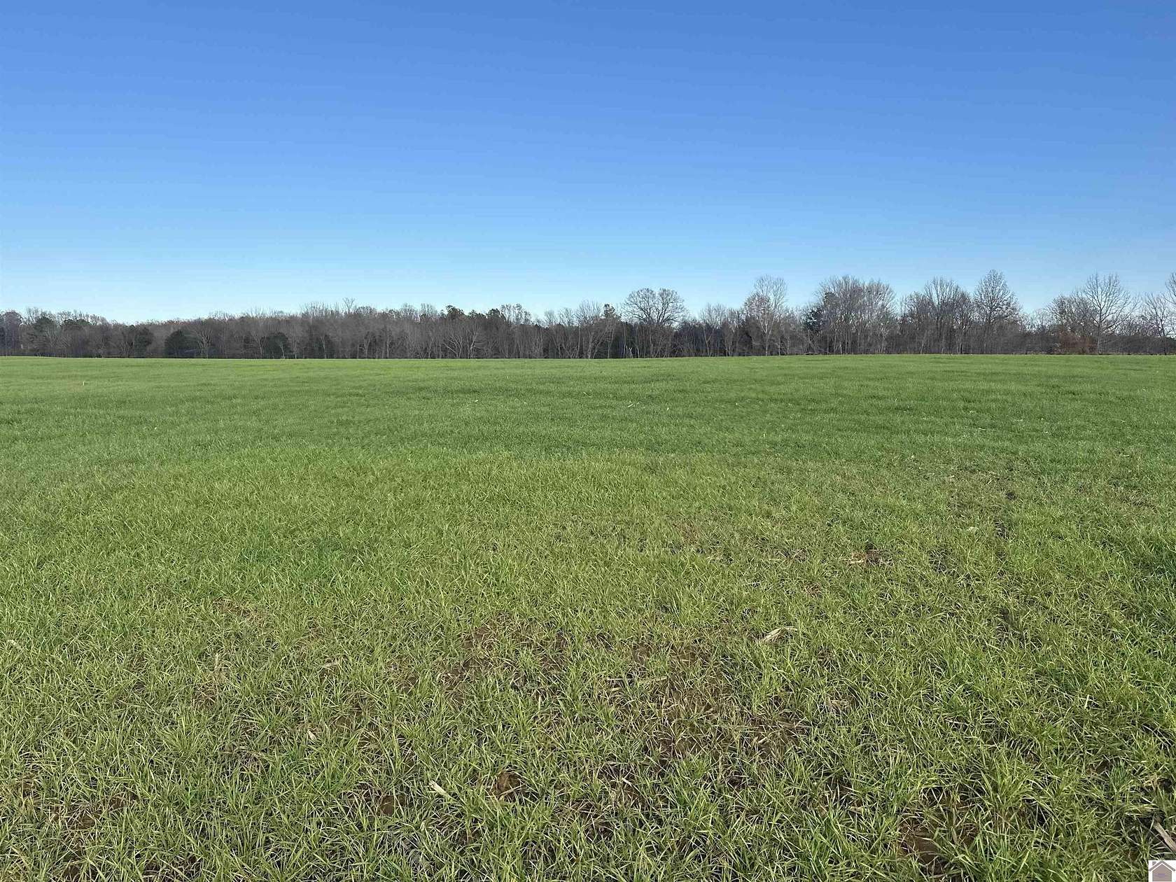 32 Acres of Agricultural Land for Sale in Almo, Kentucky