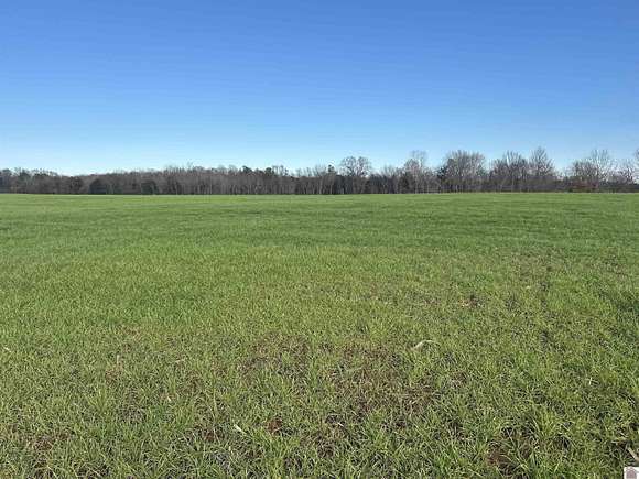 32 Acres of Agricultural Land for Sale in Almo, Kentucky