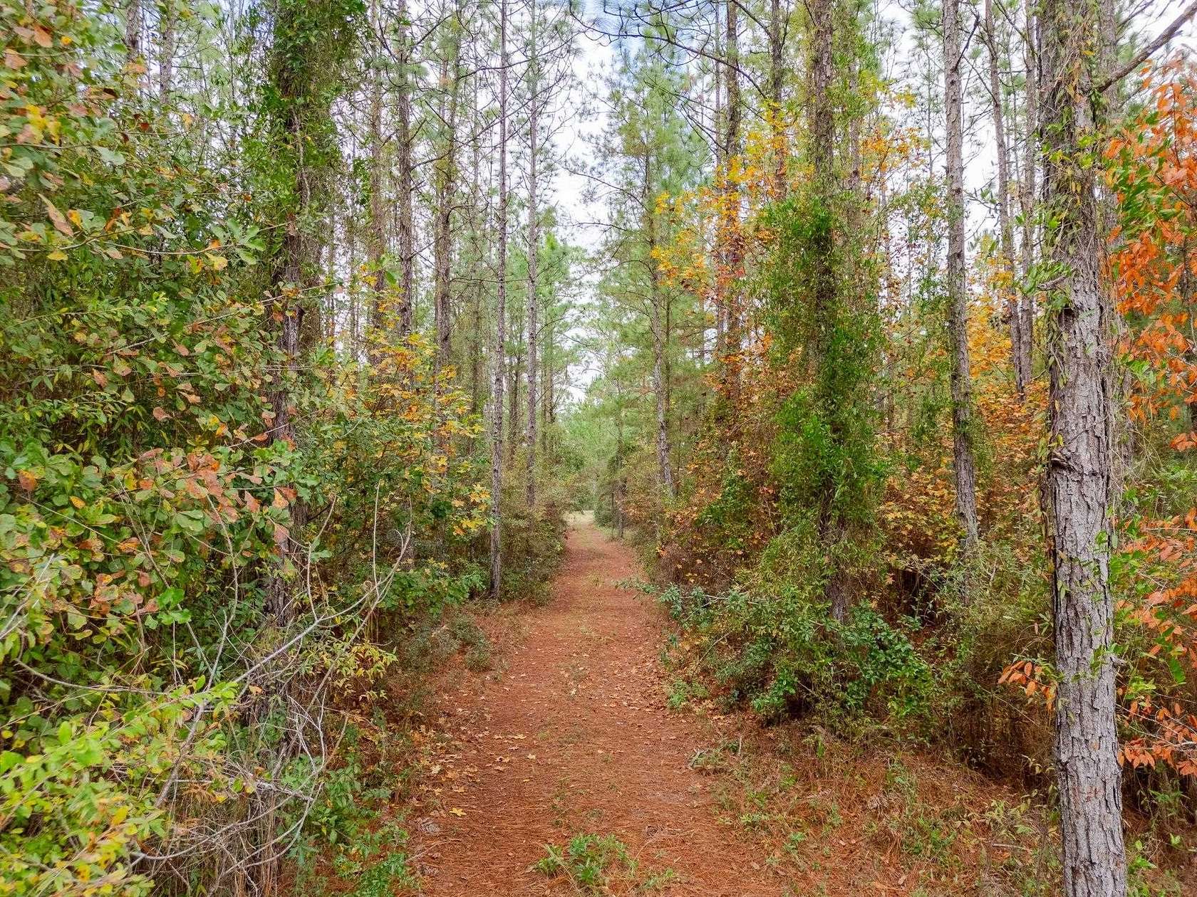 19.57 Acres of Land for Sale in Tallahassee, Florida