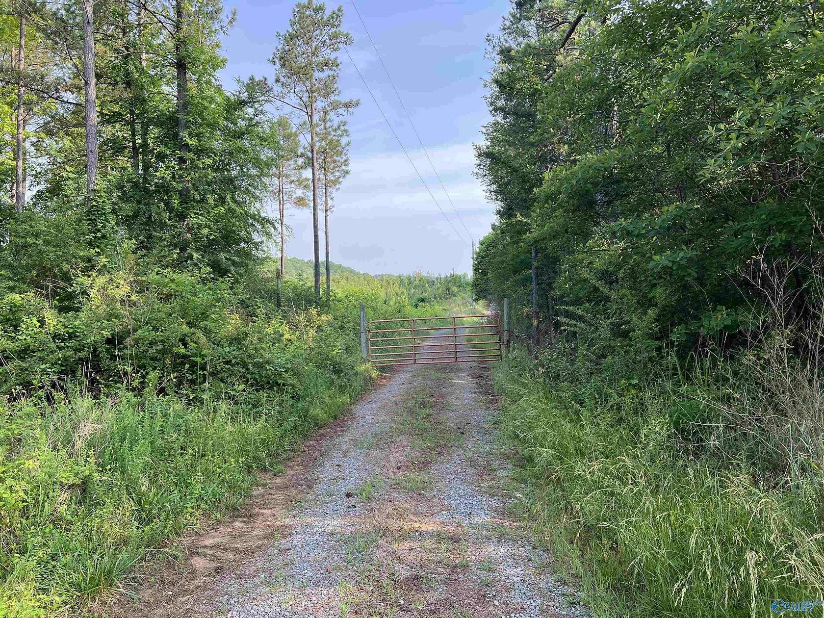 67.9 Acres of Recreational Land for Sale in Gaylesville, Alabama