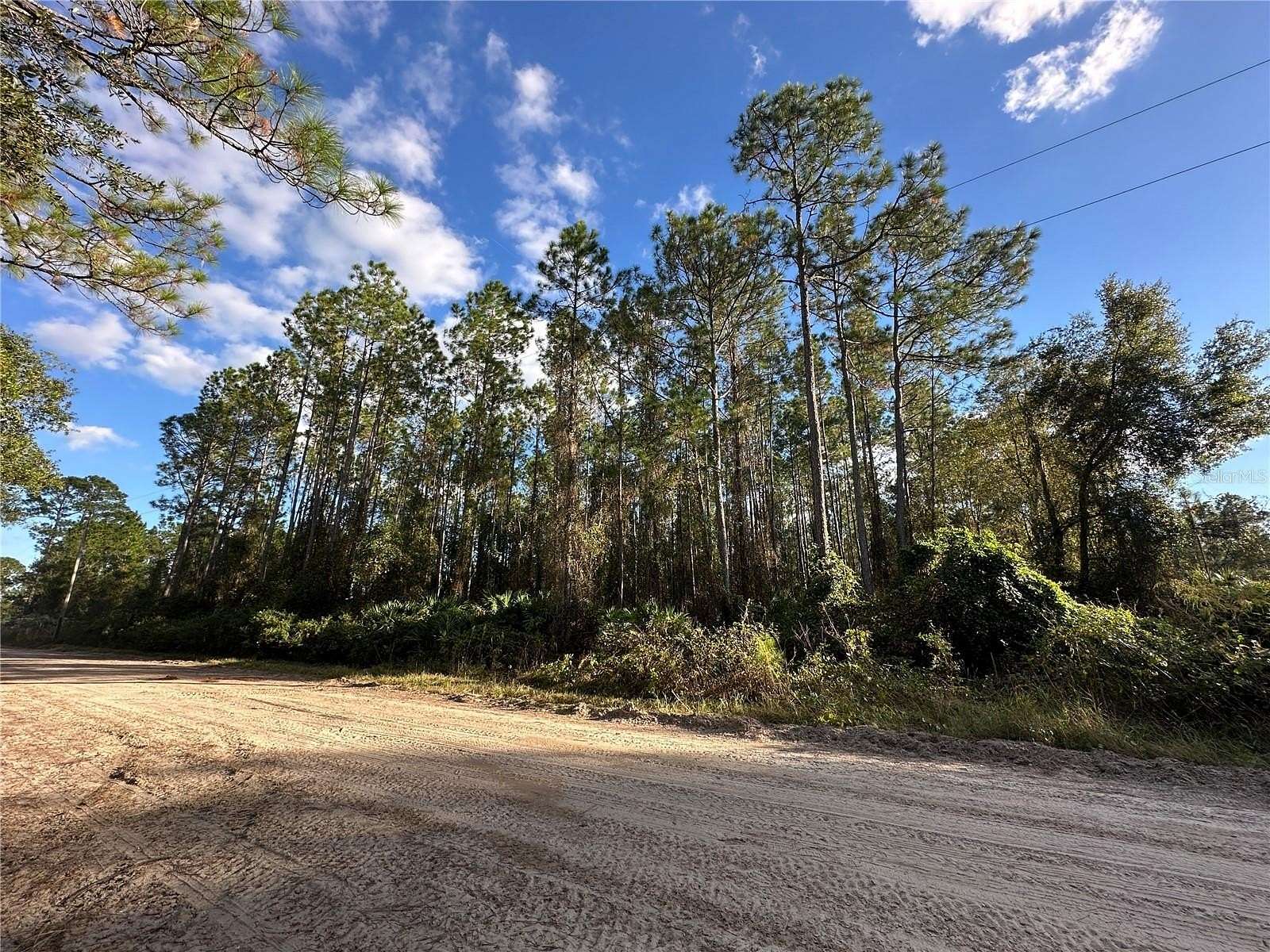 1.13 Acres of Land for Sale in Palatka, Florida