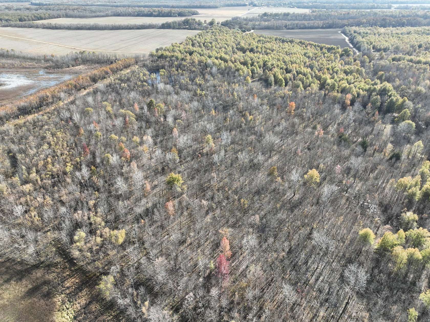 91 Acres of Recreational Land for Sale in Lambert, Mississippi