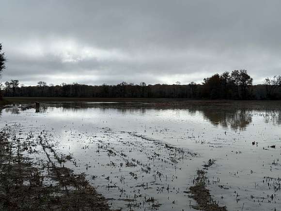 61 Acres of Agricultural Land for Sale in Lambert, Mississippi