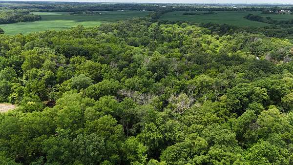 40 Acres of Land for Sale in Maysville, Missouri