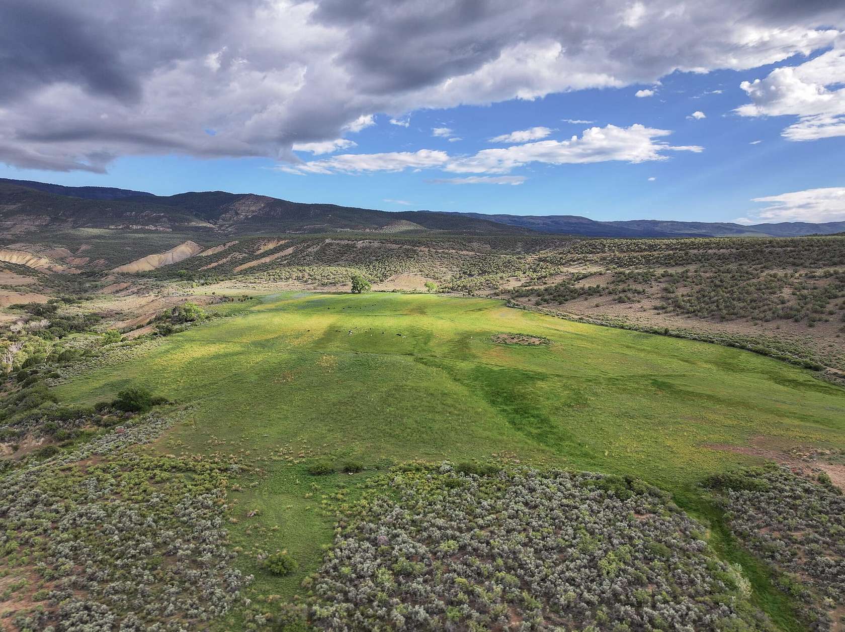 1,409 Acres of Recreational Land & Farm for Sale in Eckert, Colorado