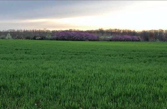 50 Acres of Land for Sale in Jonesburg, Missouri