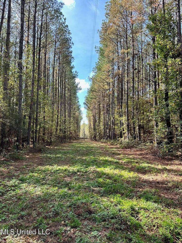 44.5 Acres of Land for Sale in Carthage, Mississippi