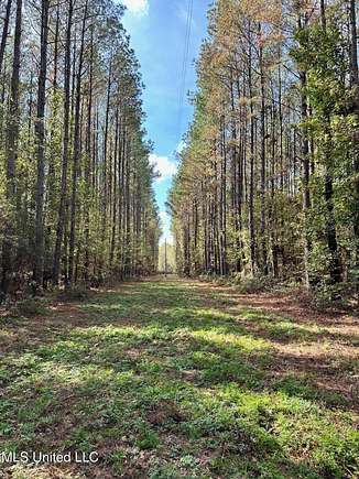 38.72 Acres of Land for Sale in Carthage, Mississippi