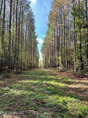 44.5 Acres of Land for Sale in Carthage, Mississippi
