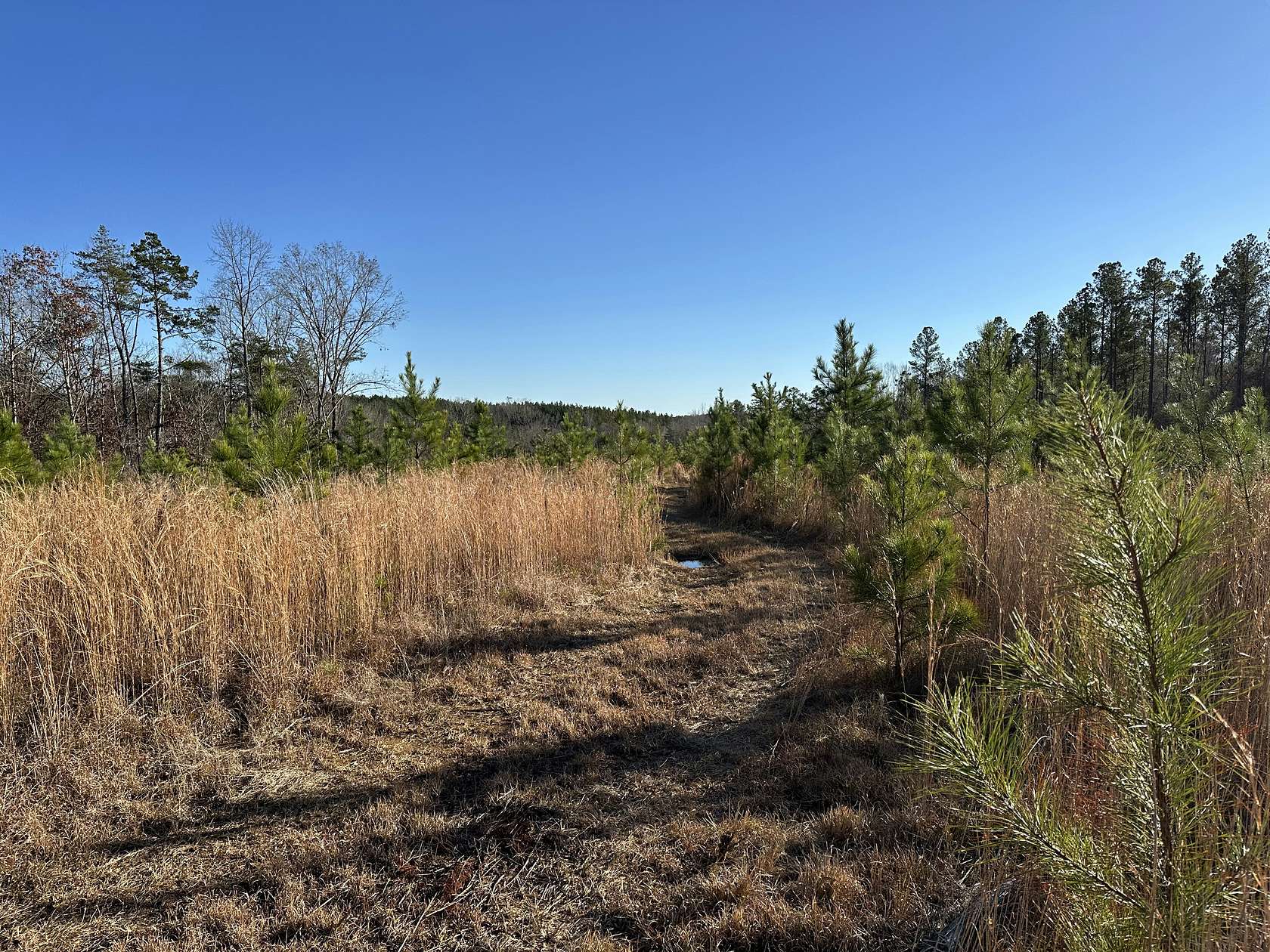 58 Acres of Recreational Land for Sale in Smyrna, South Carolina